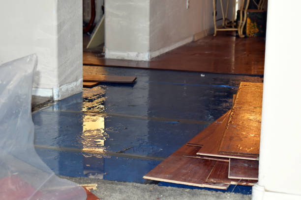 Professional Basement Flood Cleanup technician working in Holden, MO